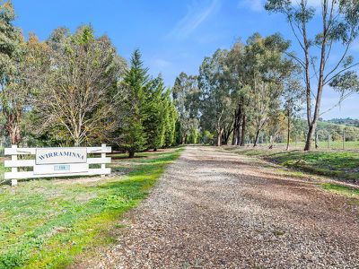 155 Yellow Box Road, Hilldene