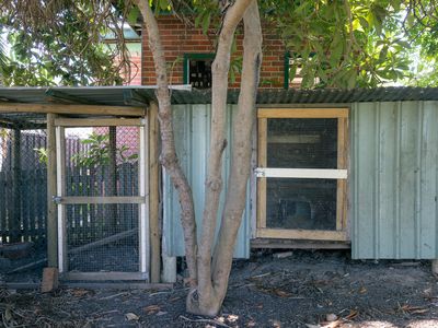 12 Killawarra Street, Wingham