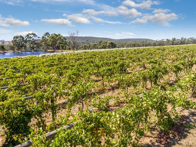 1081 Schoolhouse Lane, Heathcote