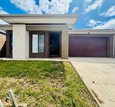 17 Hartland Rise, Cobblebank