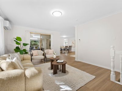 8 Nolina Court, Indooroopilly