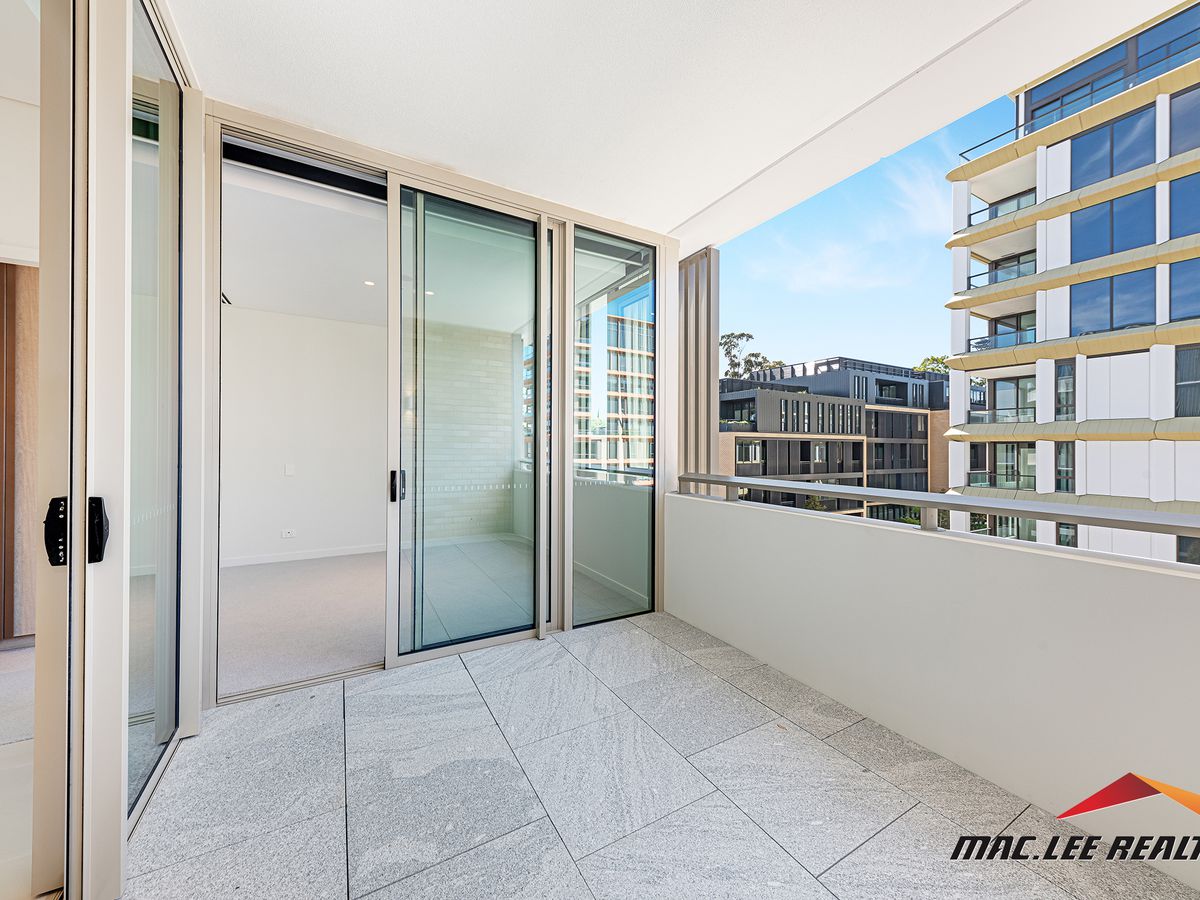 303 / 17 Richmond Avenue, Willou...
