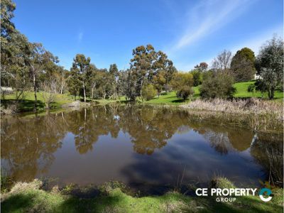 25 Sheoak Road, One Tree Hill