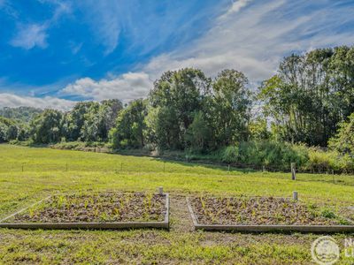 5644 Tweed Valley Way, Crabbes Creek