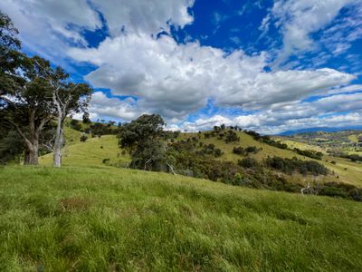 621 U T Creek Road, Alexandra