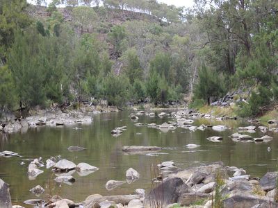 1735 The Bridle Track, Bruinbun