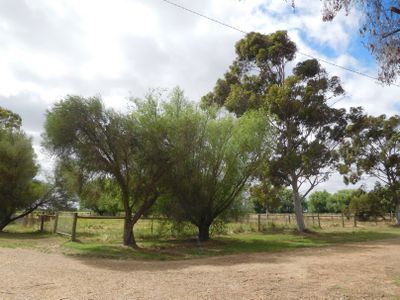 165 Scrimizzi Road, Lemnos