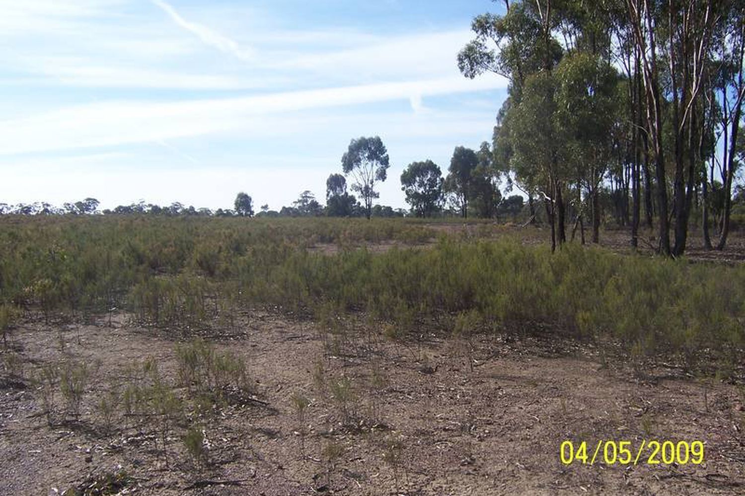 Willows Road, Murchison