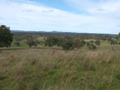 4646 Strathbogie Road, Emmaville