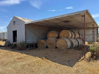 342 Olieview Road, Parkes