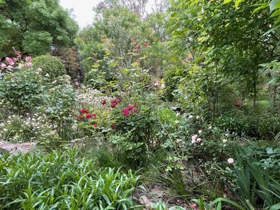 786 Dry Creek Road, Bonnie Doon