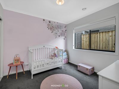33 Scenery Drive, Clyde North