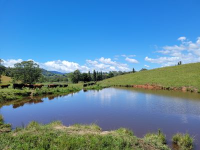 472 Neringla Road, Neringla