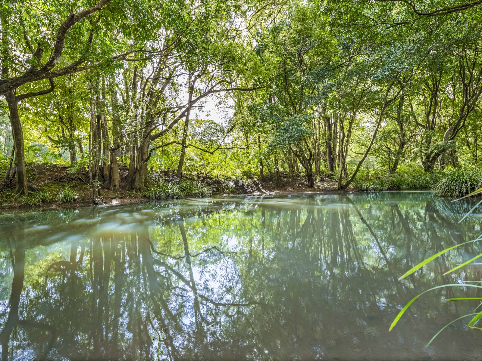 30 Coral Avenue, Mullumbimby
