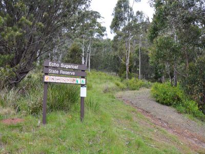 65 Williams Road, Randalls Bay