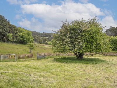 17 Reeves Lane, Dover