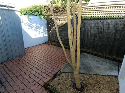 2 / 48 Kenrose Street, Forster