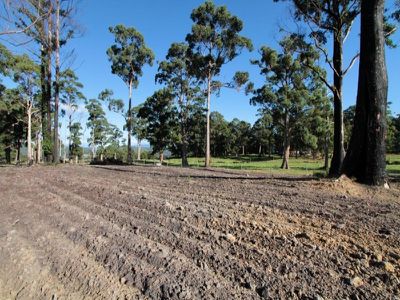 Lot 2 Francistown Road, Dover