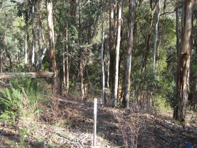 44 Christensen Street, Sawmill Settlement