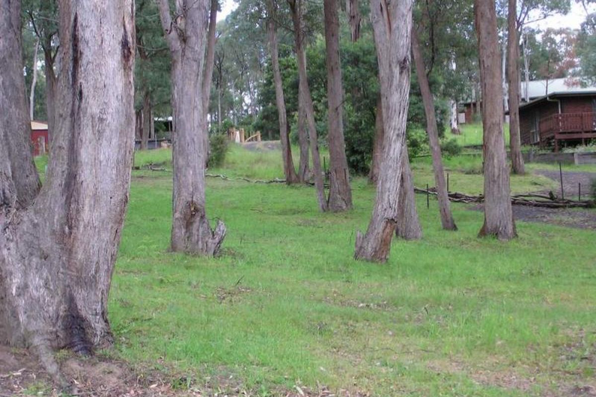 Lot 29 Lot 29 Christensen Street, Sawmill Settlement