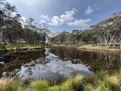 Lot 143, 6875 Taralga Road, Curraweela