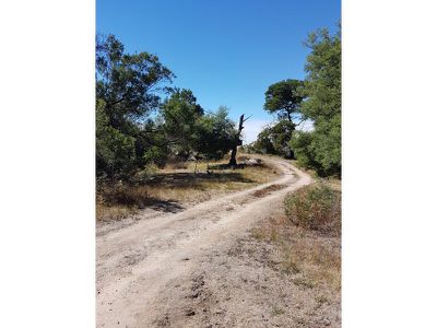 640 Ghin Ghin Rd, Whiteheads Creek