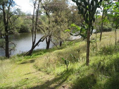 Pindari Dam Road, Ashford