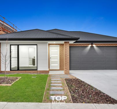 3 Salvia Way, Clyde North