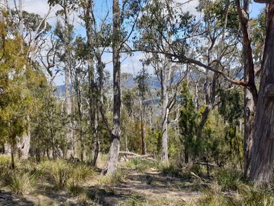 9032 Channel Highway, Huonville