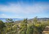 31 Hillcrest Road, Tolmans Hill