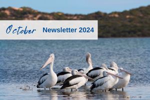 October Newsletter 2024