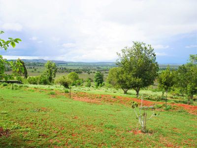 711 Kingaroy Barkers Creek Road, Kingaroy
