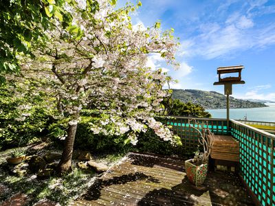 35 Coolock Crescent, Waverley