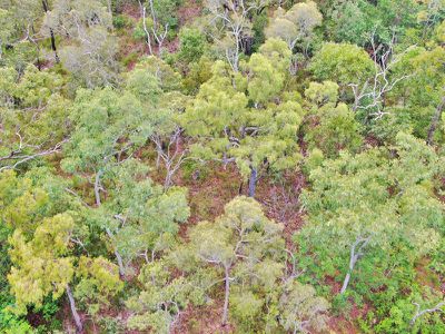 6 Flaggy Road, Cooktown