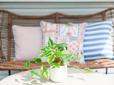 43 Shelly Beach Road, Shelly Beach