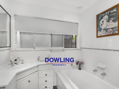 22 Silver Wattle Drive, Medowie