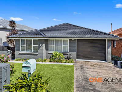 19 ROBERTSON STREET, Port Kembla