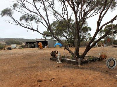 334 Scotts Lane, Wedderburn