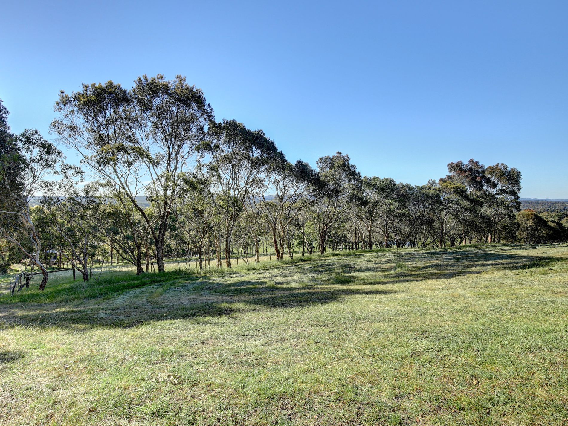 29 Rodert Road, Meadows