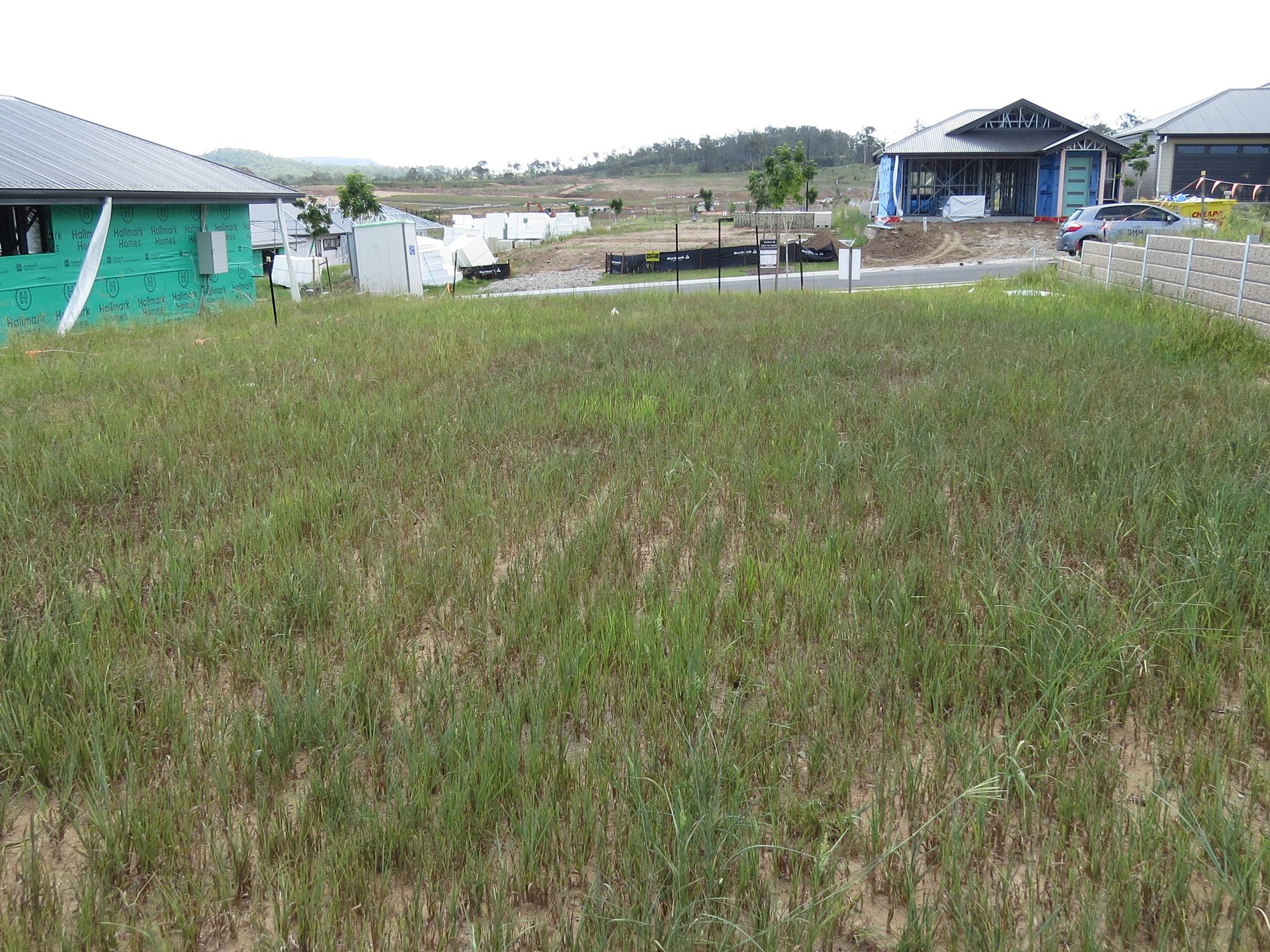 Lot 2519 Prospect Street, Flagstone DMH Realty