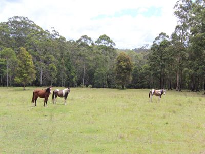 118 Godfrey Hill Road, Koorainghat