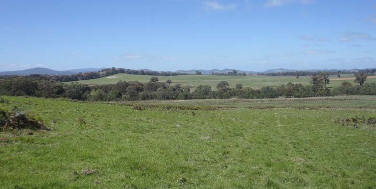 Harrys Creek Road, Strathbogie