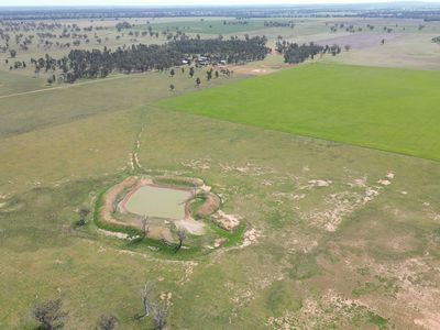 3166 Back Trundle Road, Parkes