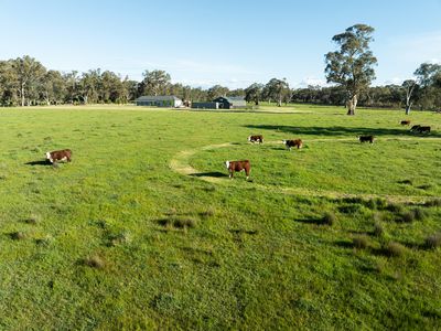 43 Dueran Lane, Mansfield