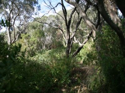 21 Neville Drive, Rye