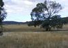51 Mills Road, Molong