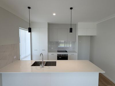 49 Olearia Street, Morayfield