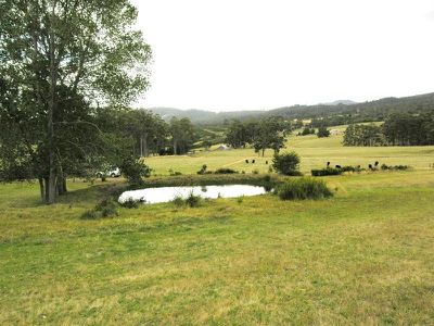Reids Road, Cradoc