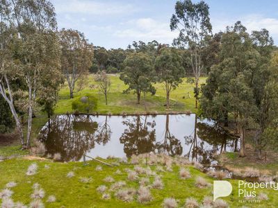 403 Ottreys Scrub Road, Walmer
