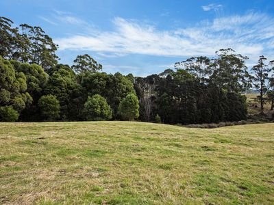 20 Nitida Drive, Scotchtown